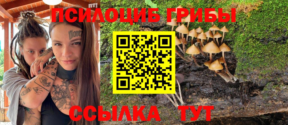 закладки  Вход с VPN  Ростов Великий  Галлюциногенные грибы мицелий  Псилоцибиновые грибы GOLDEN TEACHER 
